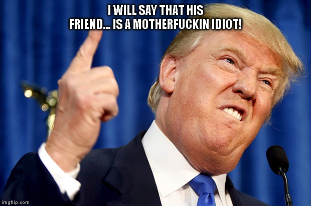 Donald Trump | I WILL SAY THAT HIS FRIEND... IS A MOTHERF**KIN IDIOT! | image tagged in donald trump | made w/ Imgflip meme maker