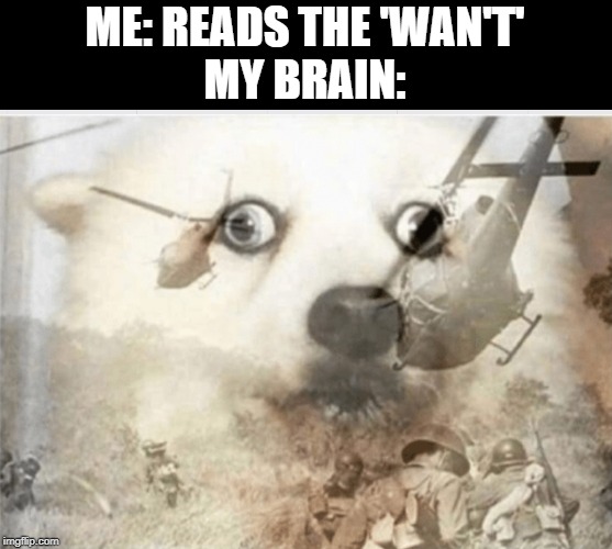PTSD dog | ME: READS THE 'WAN'T'
MY BRAIN: | image tagged in ptsd dog | made w/ Imgflip meme maker