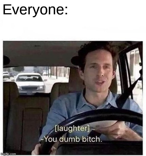 You dumb bitch | Everyone: | image tagged in you dumb bitch | made w/ Imgflip meme maker