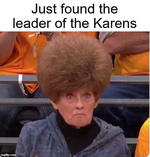 Just found the leader of the Karens | image tagged in karen,funny,memes,leader,hair,messy | made w/ Imgflip meme maker