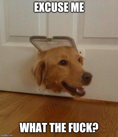 excuse me sir | EXCUSE ME; WHAT THE FUCK? | image tagged in excuse me sir | made w/ Imgflip meme maker