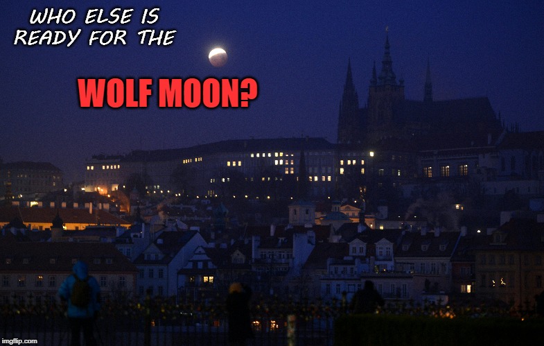 Wolf Moon tonight! | WHO ELSE IS READY FOR THE; WOLF MOON? | image tagged in wolf,moon | made w/ Imgflip meme maker