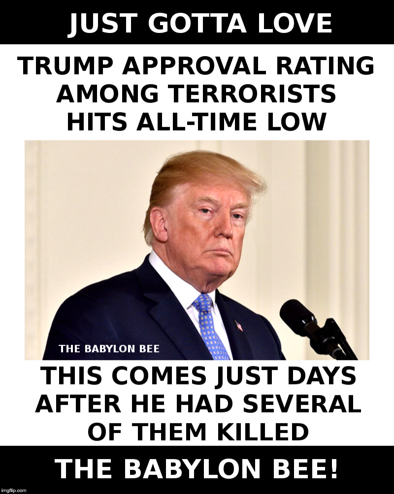 Trump's Terrorist Approval Rating | image tagged in trump,iran,terrorists,babylon bee | made w/ Imgflip meme maker