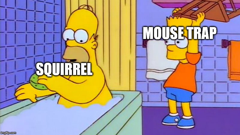 bart hitting homer with a chair | SQUIRREL MOUSE TRAP | image tagged in bart hitting homer with a chair | made w/ Imgflip meme maker
