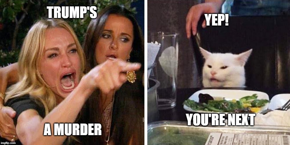 Smudge the cat | YEP! TRUMP'S; A MURDER; YOU'RE NEXT | image tagged in smudge the cat | made w/ Imgflip meme maker