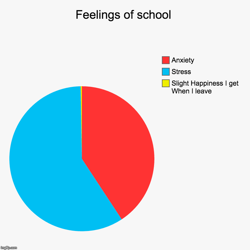 Feelings of school | Slight Happiness I get When I leave, Stress, Anxiety | image tagged in charts,pie charts | made w/ Imgflip chart maker