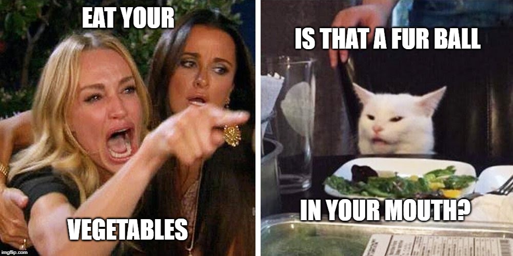 Smudge the cat | EAT YOUR; IS THAT A FUR BALL; IN YOUR MOUTH? VEGETABLES | image tagged in smudge the cat | made w/ Imgflip meme maker