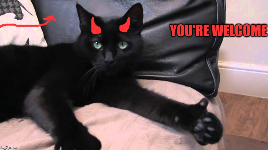 thumbs up cat | YOU'RE WELCOME | image tagged in thumbs up cat | made w/ Imgflip meme maker