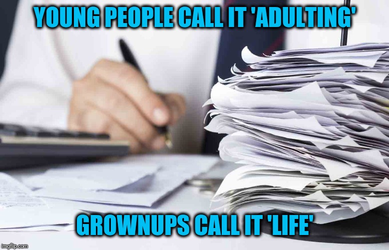 Sublety? | YOUNG PEOPLE CALL IT 'ADULTING'; GROWNUPS CALL IT 'LIFE' | image tagged in life | made w/ Imgflip meme maker