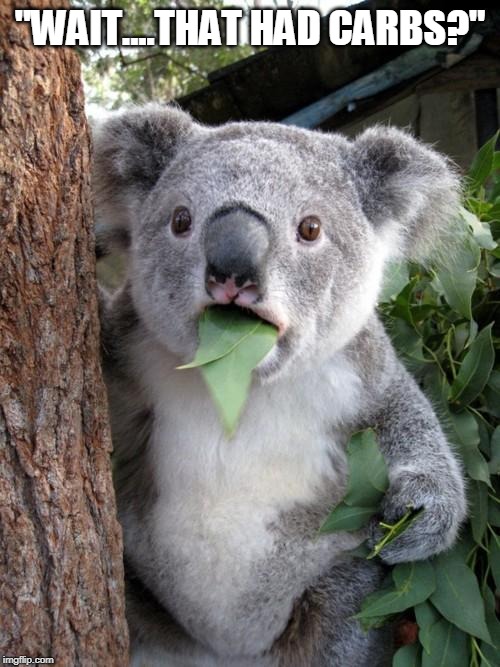 Surprised Koala | "WAIT....THAT HAD CARBS?" | image tagged in memes,surprised koala | made w/ Imgflip meme maker