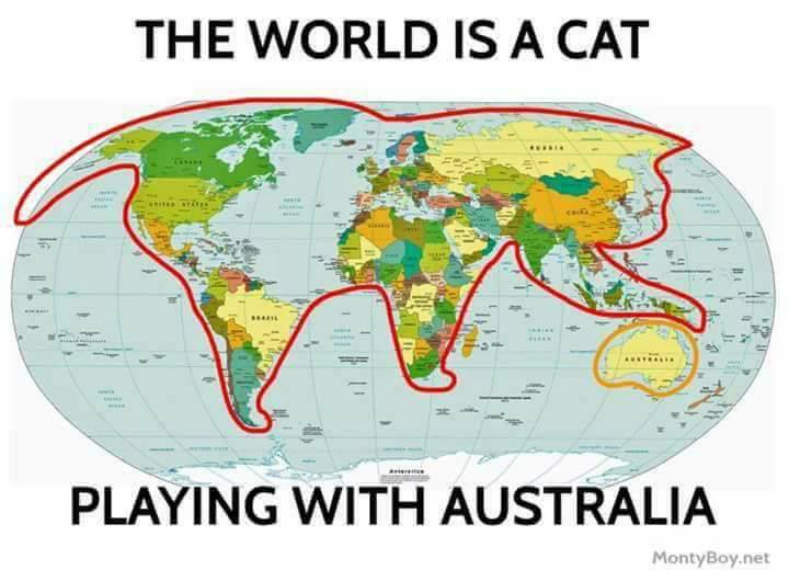 The world is a cat playing with Australia Blank Meme Template
