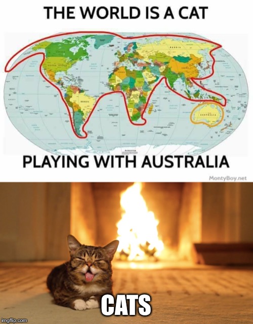 CATS | image tagged in the world is a cat playing with australia | made w/ Imgflip meme maker