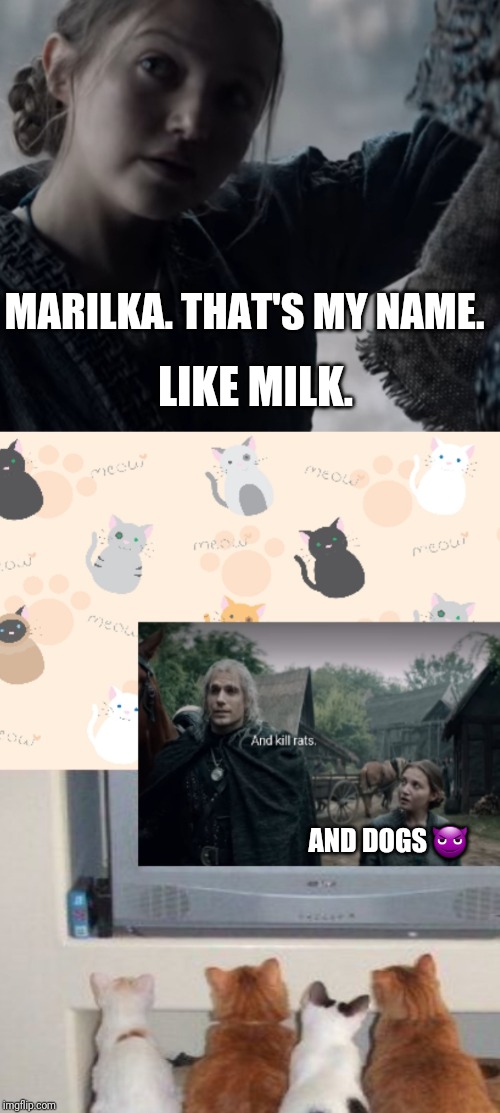Marilka from Witcher | MARILKA. THAT'S MY NAME. LIKE MILK. AND DOGS 😈 | image tagged in the witcher,geralt and marilka,crazy cat person,cats watching the witcher show funny meme | made w/ Imgflip meme maker