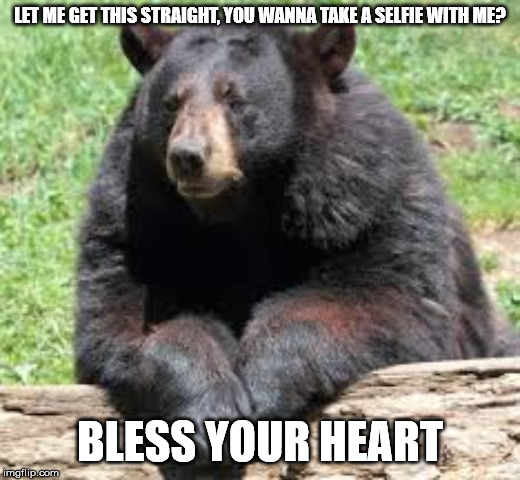 Bear Watch | LET ME GET THIS STRAIGHT, YOU WANNA TAKE A SELFIE WITH ME? BLESS YOUR HEART | image tagged in bear watch | made w/ Imgflip meme maker