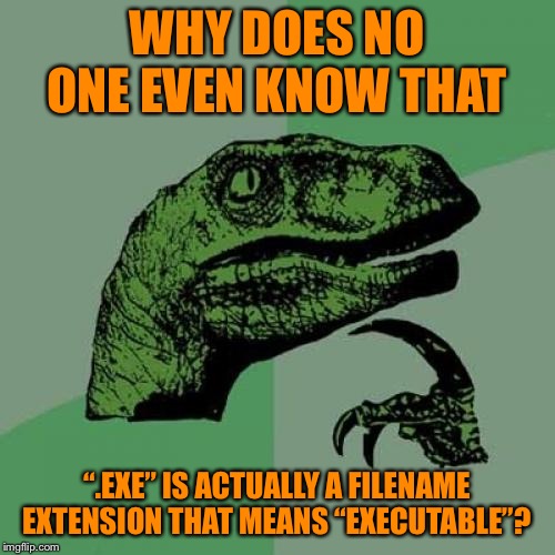 Philosoraptor Meme | WHY DOES NO ONE EVEN KNOW THAT “.EXE” IS ACTUALLY A FILENAME EXTENSION THAT MEANS “EXECUTABLE”? | image tagged in memes,philosoraptor | made w/ Imgflip meme maker