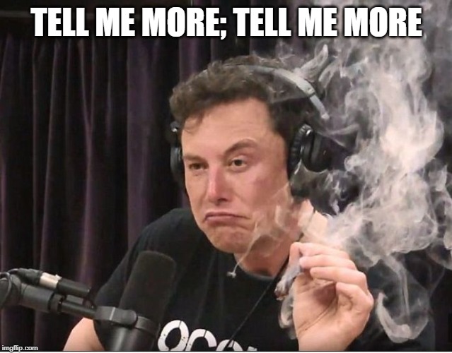 Elon Musk smoking a joint | TELL ME MORE; TELL ME MORE | image tagged in elon musk smoking a joint | made w/ Imgflip meme maker