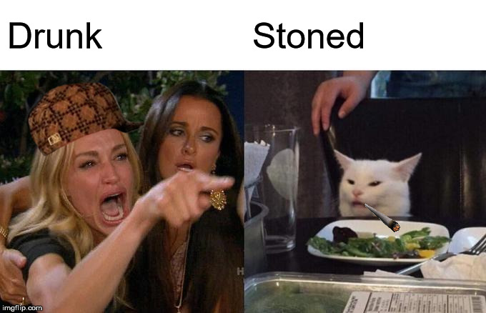 Woman Yelling At Cat Meme | Drunk; Stoned | image tagged in memes,woman yelling at cat | made w/ Imgflip meme maker