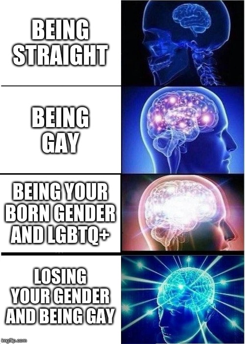 Expanding Brain Meme | BEING STRAIGHT; BEING GAY; BEING YOUR BORN GENDER AND LGBTQ+; LOSING YOUR GENDER AND BEING GAY | image tagged in memes,expanding brain | made w/ Imgflip meme maker