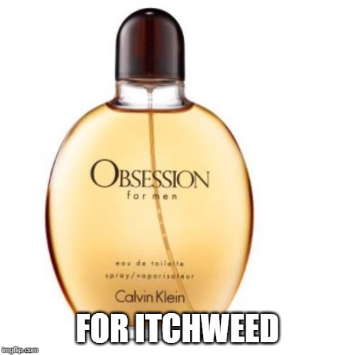 FOR ITCHWEED | made w/ Imgflip meme maker