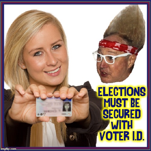 Actually, I trust this girl.... | ELECTIONS MUST BE SECURED WITH VOTER I.D. | image tagged in vince vance,voter fraud,voter id,voting,blonds,election fraud | made w/ Imgflip meme maker