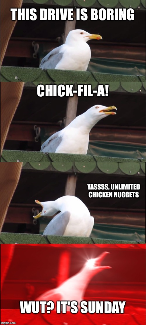 Every CFA-lover | THIS DRIVE IS BORING; CHICK-FIL-A! YASSSS, UNLIMITED CHICKEN NUGGETS; WUT? IT'S SUNDAY | image tagged in inhaling seagull,chick-fil-a,sunday | made w/ Imgflip meme maker