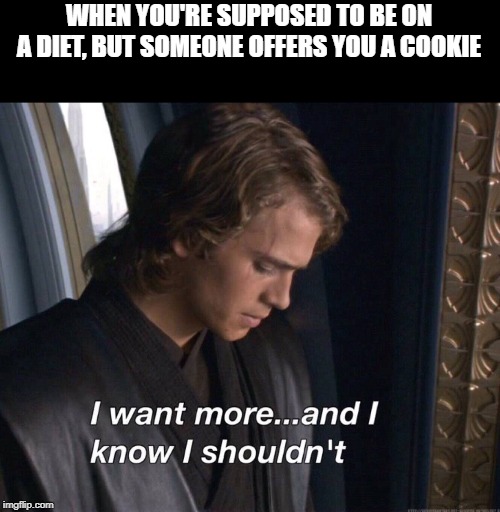You have a ton of cookies in your computer. | WHEN YOU'RE SUPPOSED TO BE ON A DIET, BUT SOMEONE OFFERS YOU A COOKIE | image tagged in i want more and i know i shouldn't,diet,cookies | made w/ Imgflip meme maker