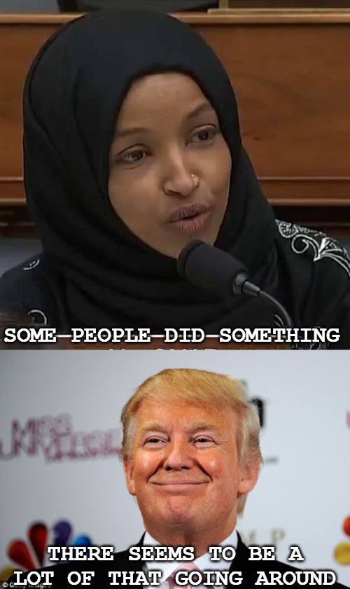 We kill a murdering terrorist and she's over here getting PTSD. Well, maybe you should leave, you traitor. | SOME PEOPLE DID SOMETHING; THERE SEEMS TO BE A LOT OF THAT GOING AROUND | image tagged in donald trump approves,ilhan omar,iran | made w/ Imgflip meme maker