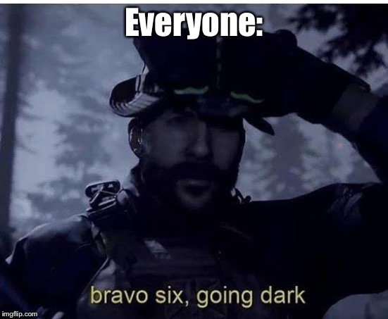 Bravo six going dark | Everyone: | image tagged in bravo six going dark | made w/ Imgflip meme maker