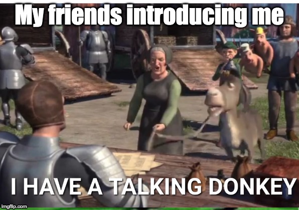 Donkey | My friends introducing me | image tagged in donkey,pathetic | made w/ Imgflip meme maker