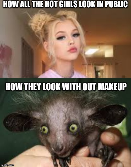 HOW ALL THE HOT GIRLS LOOK IN PUBLIC; HOW THEY LOOK WITH OUT MAKEUP | image tagged in hot girls,make up,fake people | made w/ Imgflip meme maker