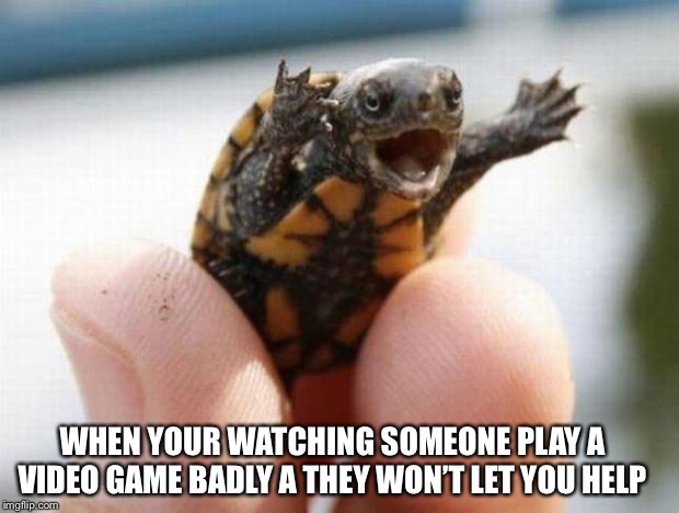 happy baby turtle | WHEN YOUR WATCHING SOMEONE PLAY A VIDEO GAME BADLY A THEY WON’T LET YOU HELP | image tagged in happy baby turtle | made w/ Imgflip meme maker