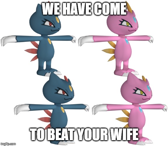 WE HAVE COME; TO BEAT YOUR WIFE | image tagged in pokemon | made w/ Imgflip meme maker