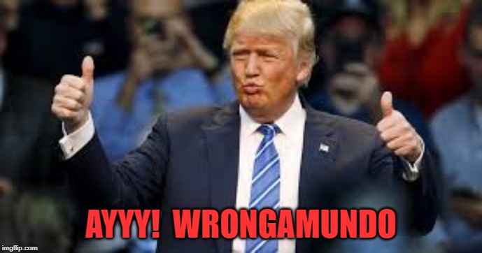 Trump | AYYY!  WRONGAMUNDO | image tagged in trump,ayy | made w/ Imgflip meme maker