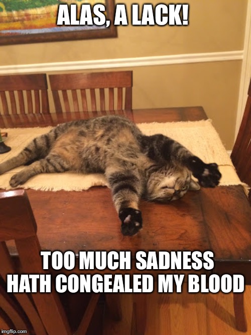 Shakespeare Kitty | ALAS, A LACK! TOO MUCH SADNESS HATH CONGEALED MY BLOOD | image tagged in cats,shakespeare,sadness | made w/ Imgflip meme maker