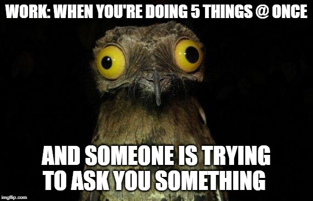 Weird Stuff I Do Potoo Meme | WORK: WHEN YOU'RE DOING 5 THINGS @ ONCE; AND SOMEONE IS TRYING TO ASK YOU SOMETHING | image tagged in memes,weird stuff i do potoo | made w/ Imgflip meme maker
