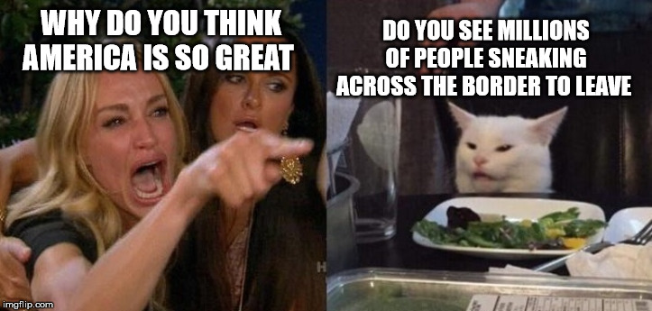 Woman Yelling at Smudge the Cat | DO YOU SEE MILLIONS OF PEOPLE SNEAKING ACROSS THE BORDER TO LEAVE; WHY DO YOU THINK AMERICA IS SO GREAT | image tagged in woman yelling at smudge the cat | made w/ Imgflip meme maker