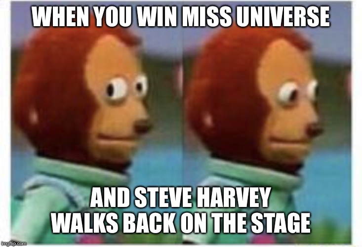 side eye teddy | WHEN YOU WIN MISS UNIVERSE; AND STEVE HARVEY WALKS BACK ON THE STAGE | image tagged in side eye teddy | made w/ Imgflip meme maker