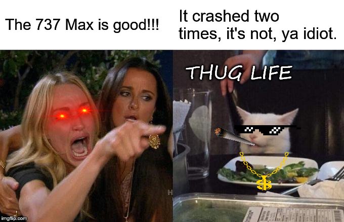 Woman Yelling At Cat Meme | The 737 Max is good!!! It crashed two times, it's not, ya idiot. THUG LIFE | image tagged in memes,woman yelling at cat | made w/ Imgflip meme maker