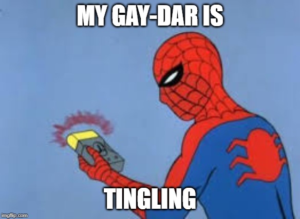 gay-DAR | MY GAY-DAR IS; TINGLING | image tagged in spider man | made w/ Imgflip meme maker