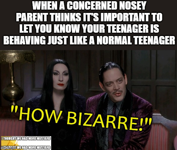 Teenagers Being Teenagers... Shocked! | WHEN A CONCERNED NOSEY PARENT THINKS IT'S IMPORTANT TO LET YOU KNOW YOUR TEENAGER IS BEHAVING JUST LIKE A NORMAL TEENAGER; "HOW BIZARRE!" | image tagged in addams family,teenagers | made w/ Imgflip meme maker