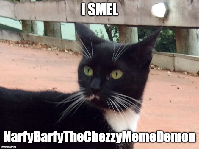 'I SMEL CHEZ' KAT | I SMEL NarfyBarfyTheChezzyMemeDemon | image tagged in 'i smel chez' kat | made w/ Imgflip meme maker