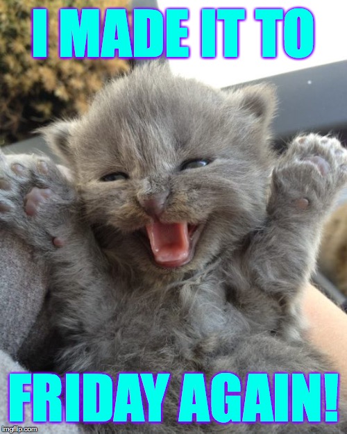 Yay Kitty | I MADE IT TO; FRIDAY AGAIN! | image tagged in yay kitty,memes,friday | made w/ Imgflip meme maker