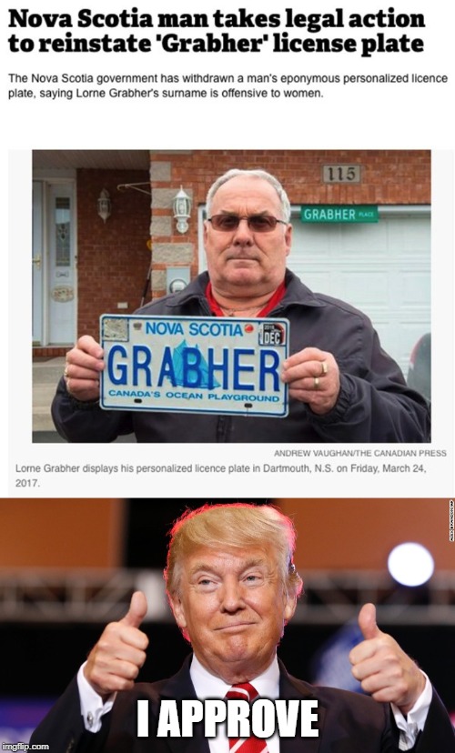 My Kinda Plate | I APPROVE | image tagged in donald trump thumbs up | made w/ Imgflip meme maker