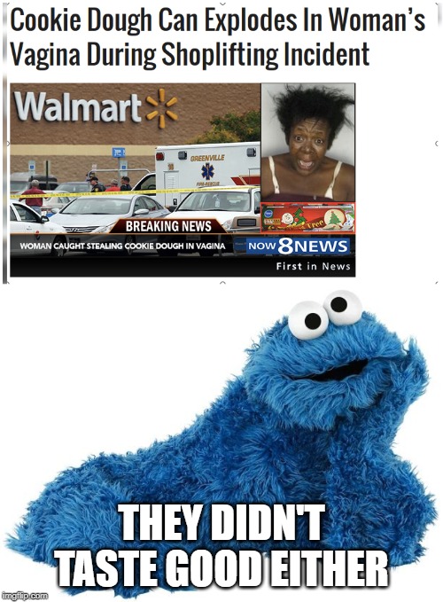 Nasty Cookie | THEY DIDN'T TASTE GOOD EITHER | image tagged in cookie monster | made w/ Imgflip meme maker