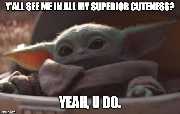 see here | Y'ALL SEE ME IN ALL MY SUPERIOR CUTENESS? YEAH, U DO. | image tagged in see here | made w/ Imgflip meme maker