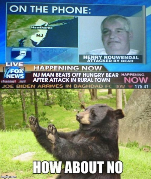 Bear "Job" | image tagged in memes,how about no bear | made w/ Imgflip meme maker