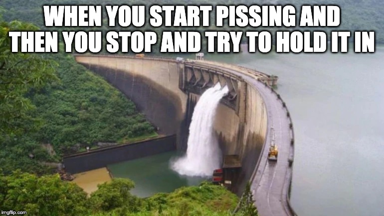 WHEN YOU START PISSING AND THEN YOU STOP AND TRY TO HOLD IT IN | image tagged in damn | made w/ Imgflip meme maker