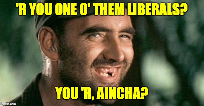 Deliverance HIllbilly | 'R YOU ONE O' THEM LIBERALS? YOU 'R, AINCHA? | image tagged in deliverance hillbilly | made w/ Imgflip meme maker