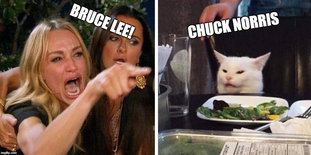 Smudge the cat | CHUCK NORRIS; BRUCE LEE! | image tagged in smudge the cat | made w/ Imgflip meme maker