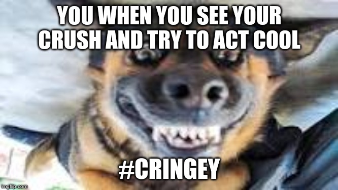 YOU WHEN YOU SEE YOUR CRUSH AND TRY TO ACT COOL; #CRINGEY | image tagged in dogs | made w/ Imgflip meme maker